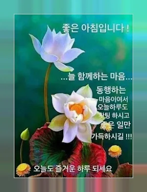 좋은 아침, 좋은 오후, 좋은 밤 카카오 톡으로 친구들과 공유 할 이미지 Screenshot 0