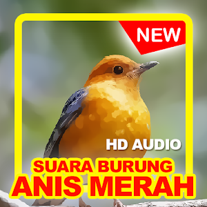 Suara Burung Anis Merah Screenshot 1