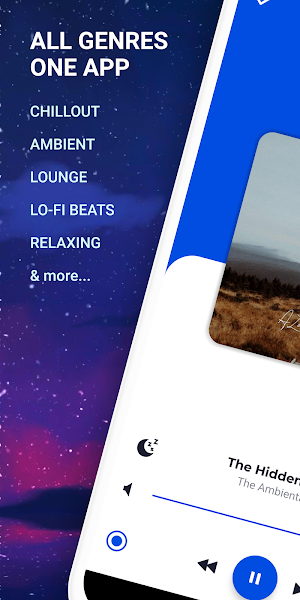 Chillout Ambient - Music Radio Screenshot 0