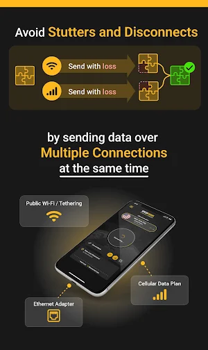 SpeedFusion Connect Screenshot 1