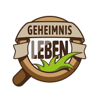 Geheimnis-Leben MultimediaQuiz