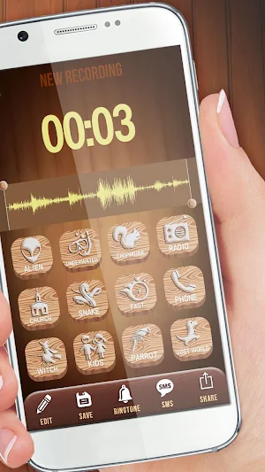 Professional Voice Changer Screenshot 1