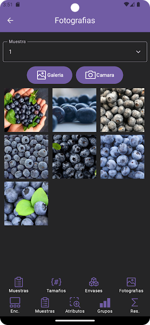 QCInspec Inspector Screenshot 1