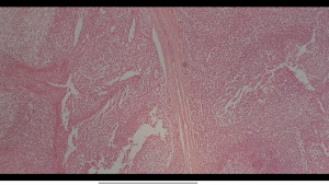 NarikaConnect Screenshot 3