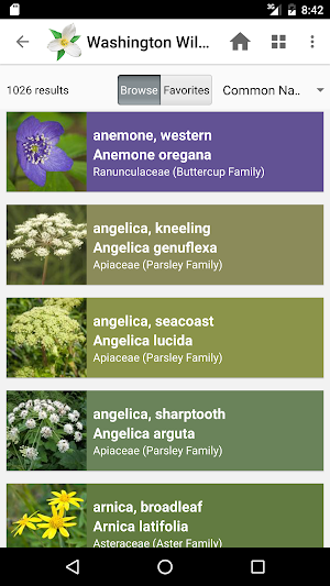 Washington Wildflowers Screenshot 2