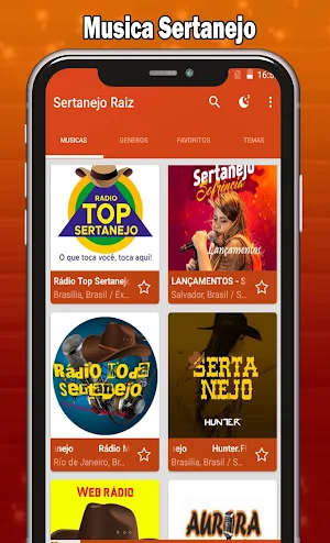 Sertanejo Raiz Screenshot 1