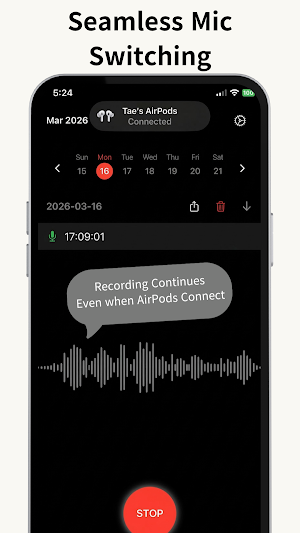 24/7 Voice Recorder Screenshot 2