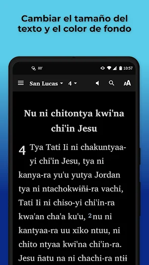 Mixtec Amoltepec Bible Screenshot 3