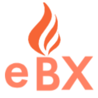 eBrickX