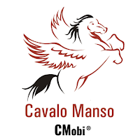 Smart CMobi
