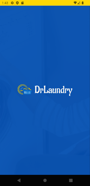Dr Laundry Driver Screenshot 0