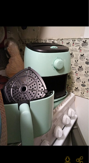 dash mini air fryer guide Screenshot 2