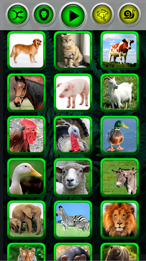 Animal sounds funny Screenshot 1