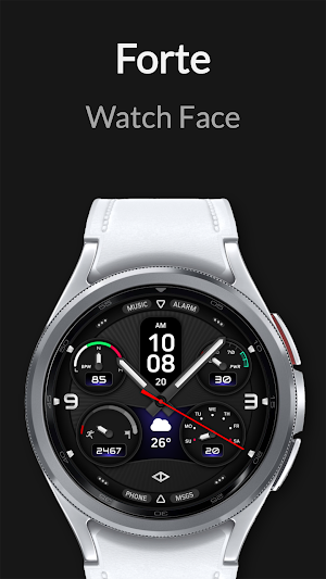 Forte: Hybrid Watch Face Screenshot 3