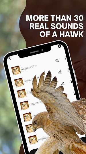 Chicken hawk sounds screenshot 2