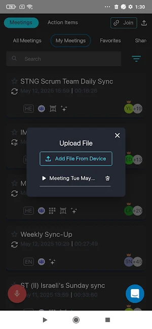 Meeting Insights Screenshot 3