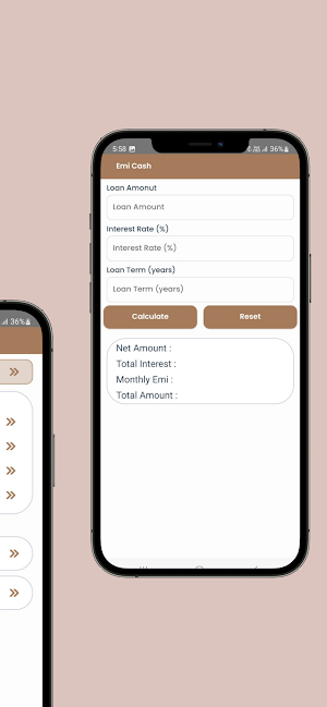 PROEMI : EMI Loan Calculator Screenshot 2