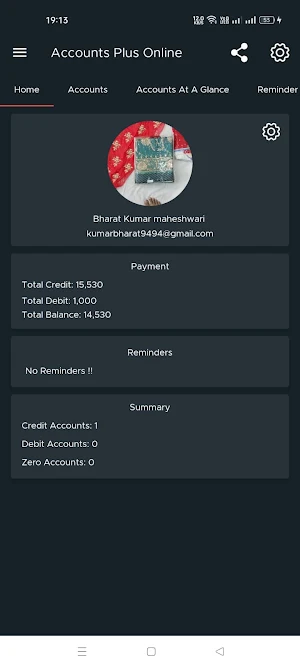 Accounts Plus - Online Screenshot 1