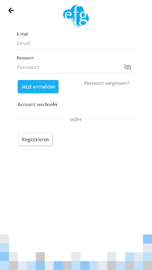 EFG Betzdorf Screenshot 1