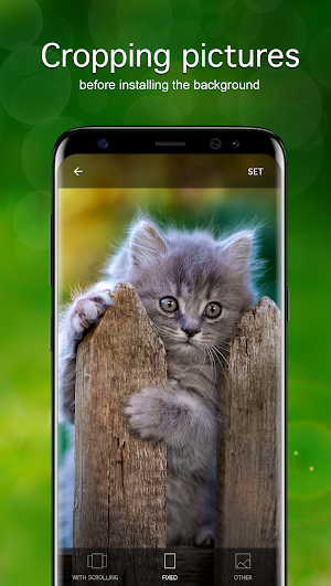 Kitten Wallpapers 4K Screenshot 2