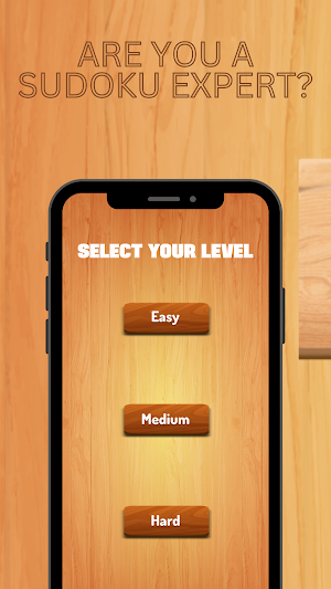Sudoku Puzzle Classic Screenshot 0