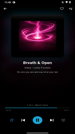 iTranscend Screenshot 1