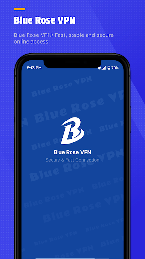 Blue Rose VPN Screenshot 3