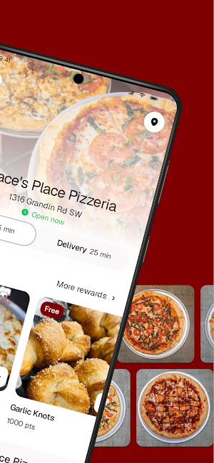 Grace's Place Pizzeria To Go Screenshot 1