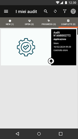 Audit Manager Lovato Electric Screenshot 2