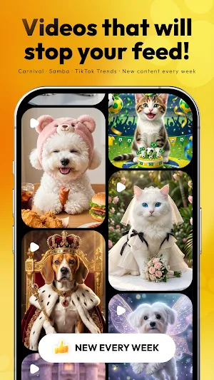 Fofi - Efeitos AI para Pets Screenshot 1