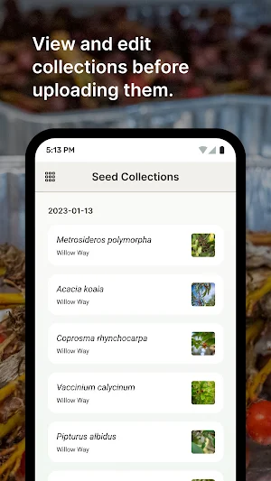 Terraware Screenshot 2