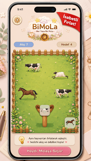 BiMoLa - Eşleştirme Oyunu Screenshot 0