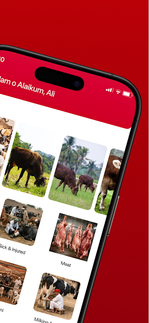 S.K Livestock Screenshot 1