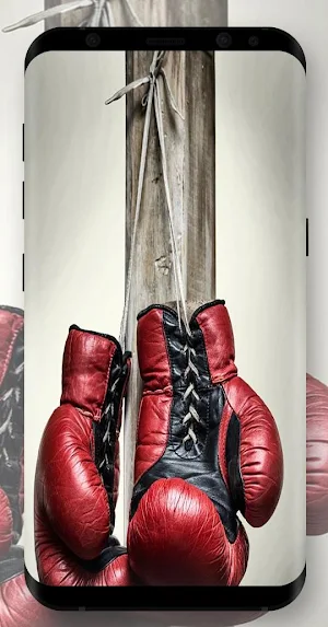 Martial Art Wallpapers Screenshot 3