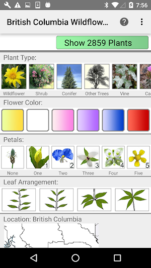 BC Wildflowers Screenshot 0
