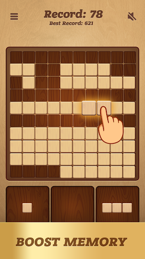 Block Puzzle for Fun Screenshot 2