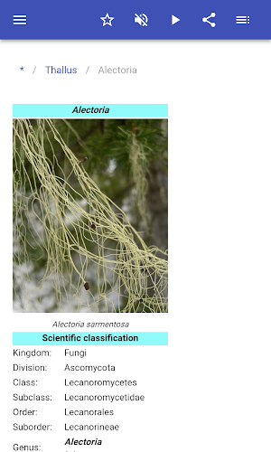 Lichens Screenshot 2