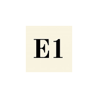 E1 Mode