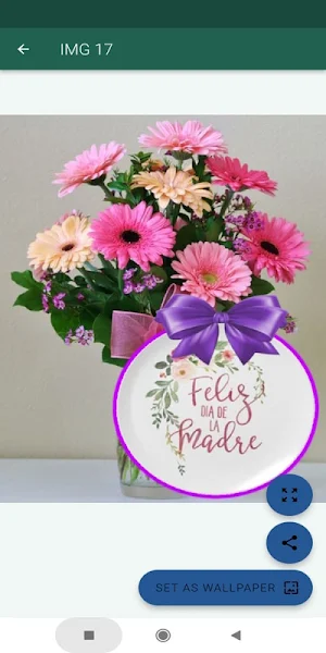 Flores para mamá Screenshot 0