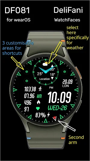 DF081 Screenshot 1