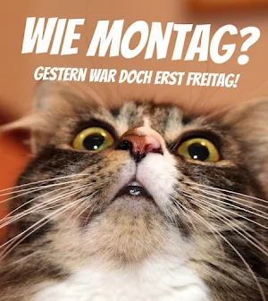 Montag Bilder Lustig Screenshot 3