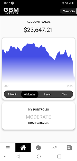 GBM Investor Screenshot 2
