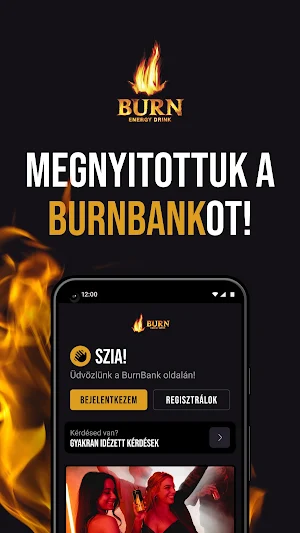 BurnBank Screenshot 0