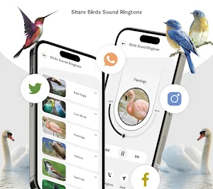 Birds Call Sound And Ringtones Screenshot 3