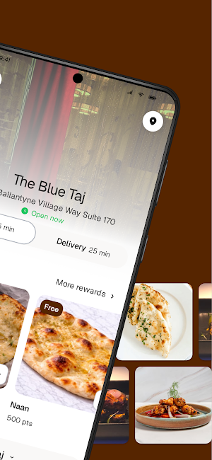 The Blue Taj Screenshot 1
