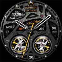 DM132 Luxury Watch Face