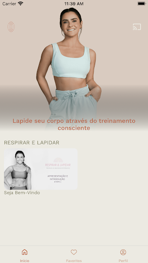 LAPIDA Screenshot 2