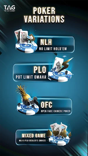 TAG Poker : The Ace Gambit Screenshot 3