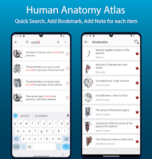 Human Anatomy Handbook Screenshot 3