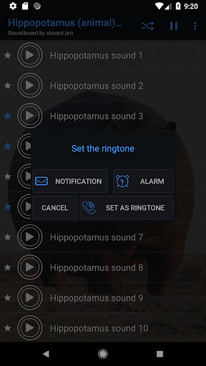 Hippopotamus (animal) sounds ~ Sboard.pro Screenshot 2